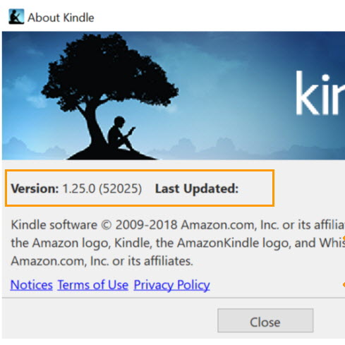 Kindle for pc 1.25